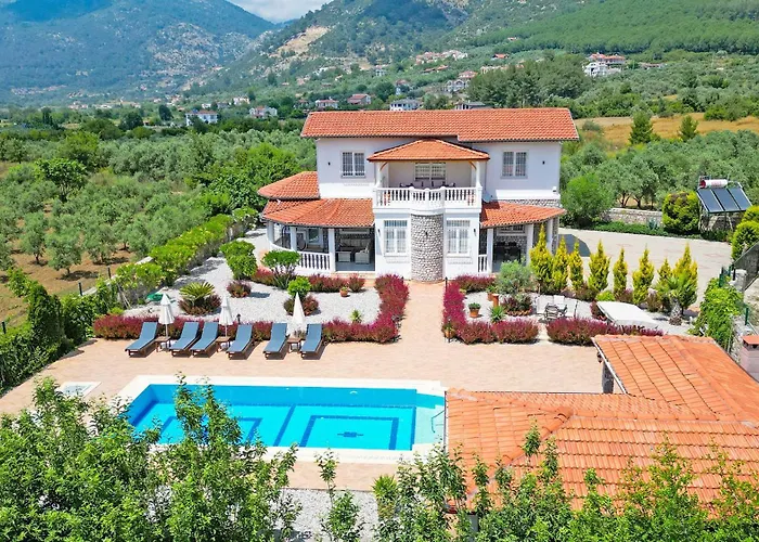 فيلة Estelle *